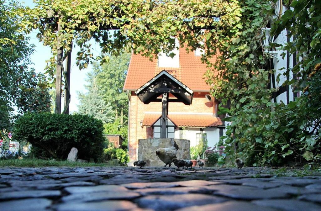Hotel Cafe Am Stift Hessisch Oldendorf Ngoại thất bức ảnh